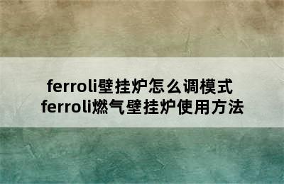 ferroli壁挂炉怎么调模式 ferroli燃气壁挂炉使用方法